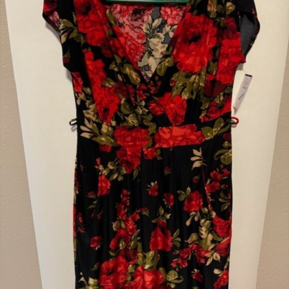 Vertiche Black and Red Floral Dress Size Small NWT